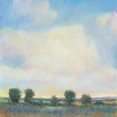 Ciel d'été I