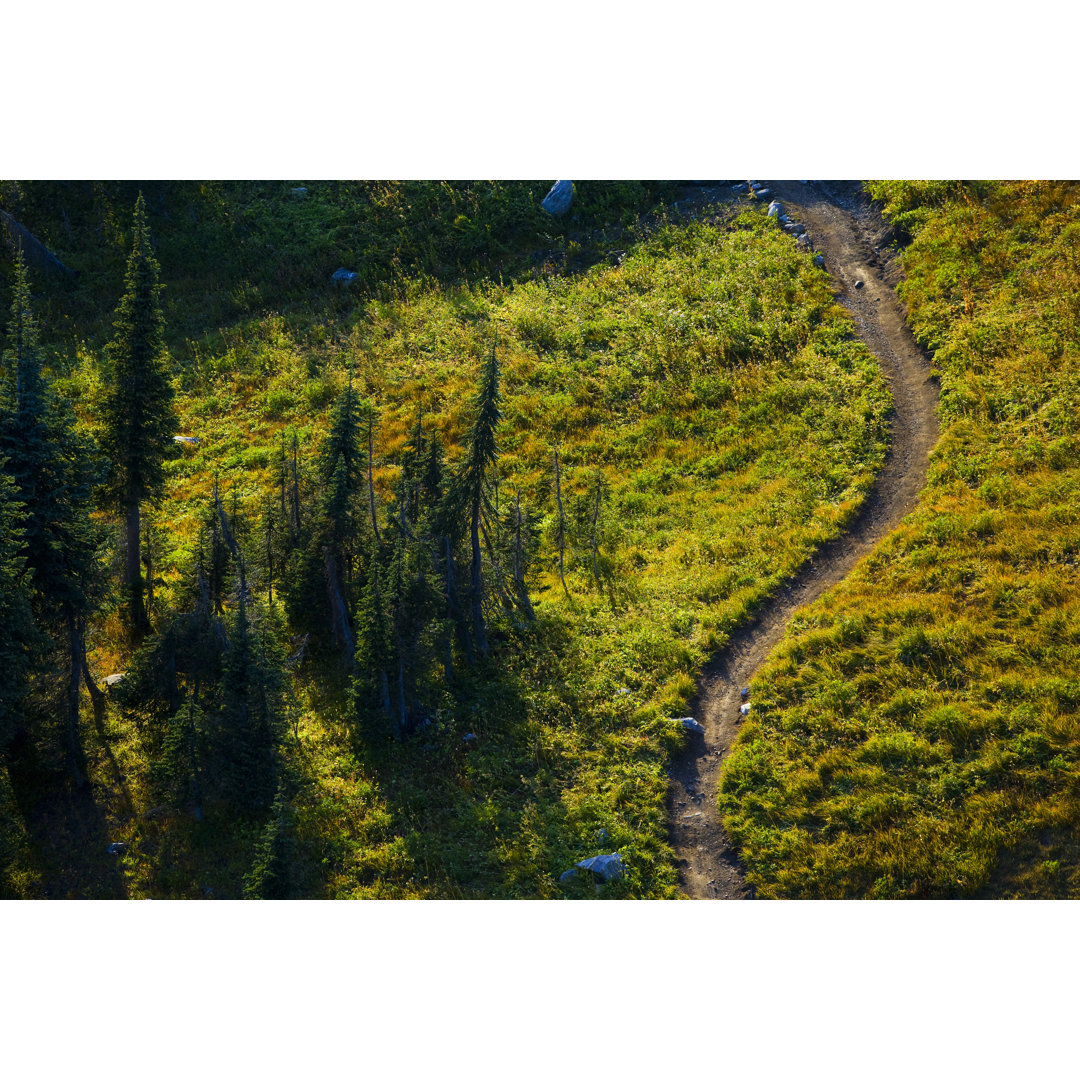 Singletrack Trail von GibsonPictures - Kunstdrucke auf Leinwand