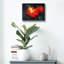 «Night Light-C» par Kirk Reinert-432673389