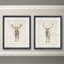 «Moose Study», ensemble de 2 reproductions d'art sur papier encadrées