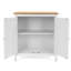Zaha Solid Wood 2 - Door Standard Accent Cabinet