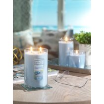 Wayfair  Jar YANKEE CANDLE Candles You'll Love in 2023