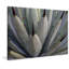 « black tips », reproduction d’art sur toile tendue-16739058
