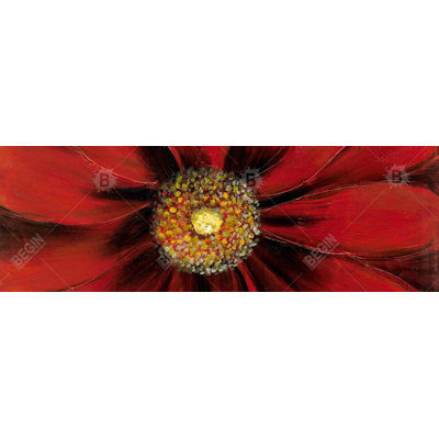 " Red Daisy " on