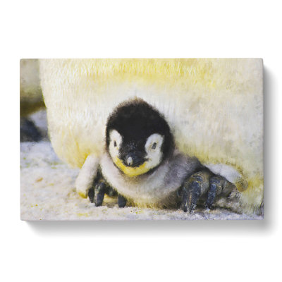 Baby Penguin - Wrapped Canvas Painting
