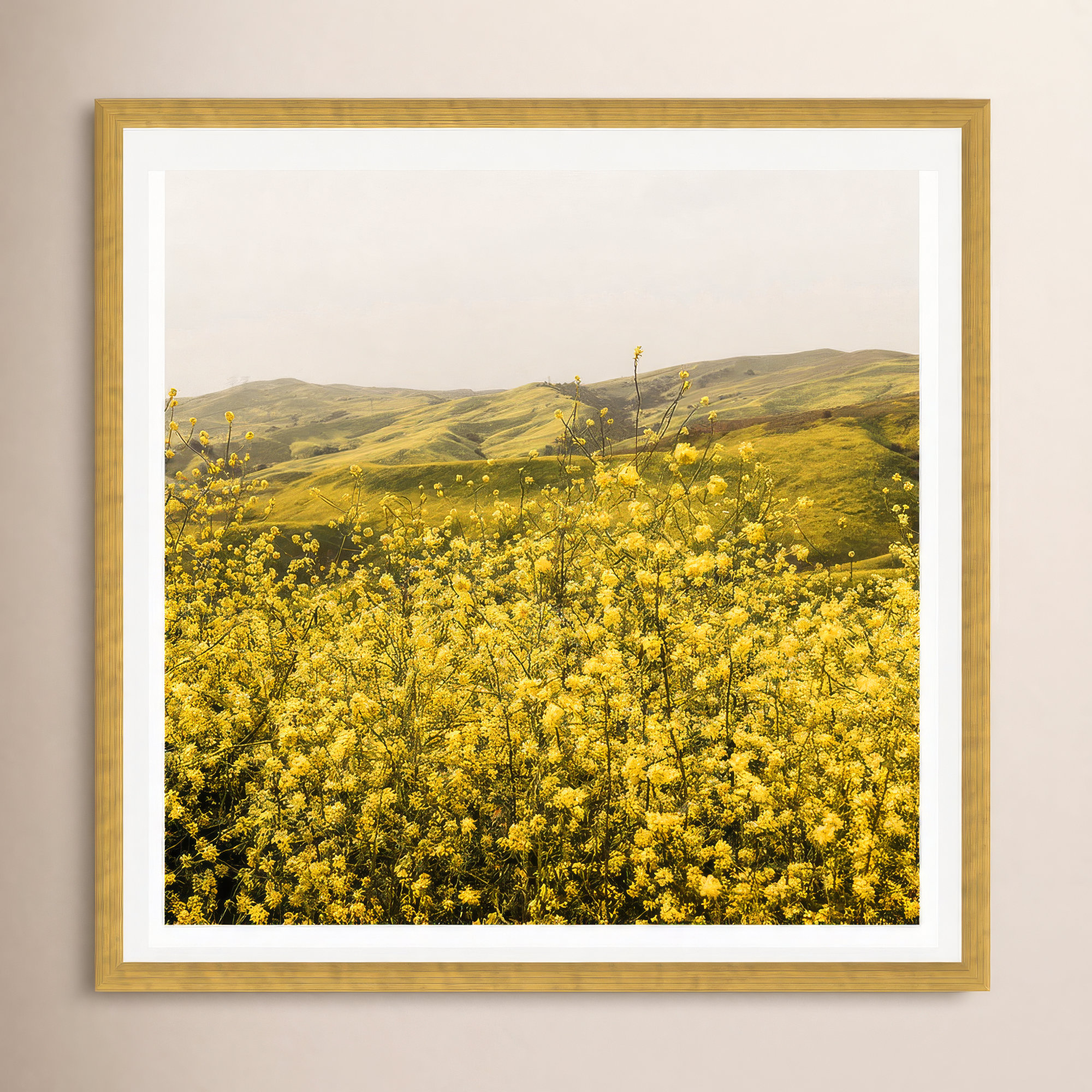 Spring Is Here Yellow Wildflowers by By Brije, Gold Framed Paper, 36" H x 36" W x 0.75" D, Yes