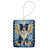 Border collie 6953
