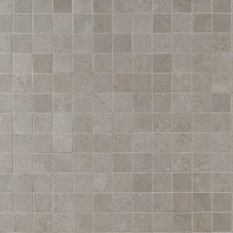 New Rock 2X2 Matte Porcelain Mosaic, Fumo Light Gray