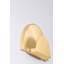 Homecrest 1 Light Wall Sconce
