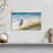 Brampt Heron Ocean View-107707370