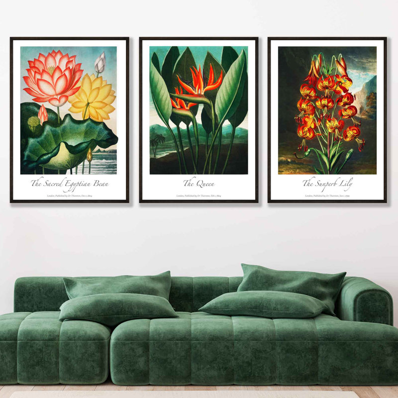 Vintage Tropical Flowers Botanical by Robert John Thornton - 3 Piece No Frame Print Set, 40cm H x 90cm W