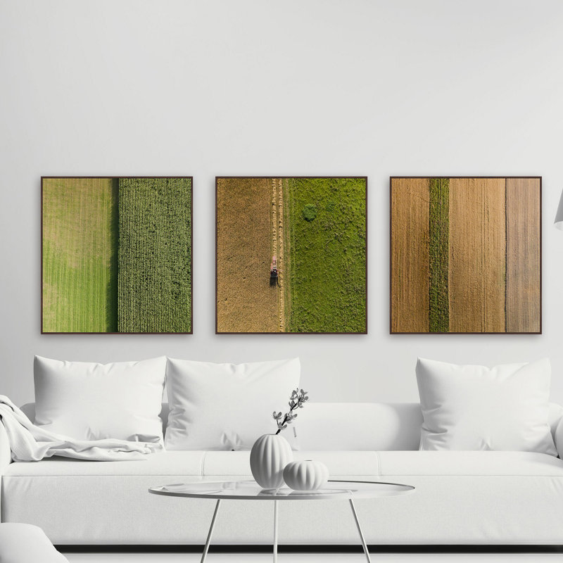 «Crop Rows Triptych» par Marmont Hill - ensemble de 3 reproductions de photos, H 16 po x l 16 po x 1,5 po, Toile tendue