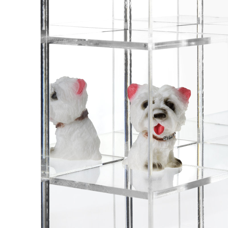 Clear Acrylic Wall-Mounted Display Case with Mirrored Back