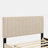 Velvet Upholstered Platform Bed with Trundle-106492948-112511389
