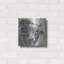 «Eyes Wide Open» par Diane Fifer-1115017857