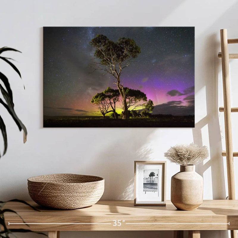 Harnek aurora australis au-dessus des arbres, H 16 po x l 24 po