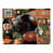 Oklahoma State Cowboys