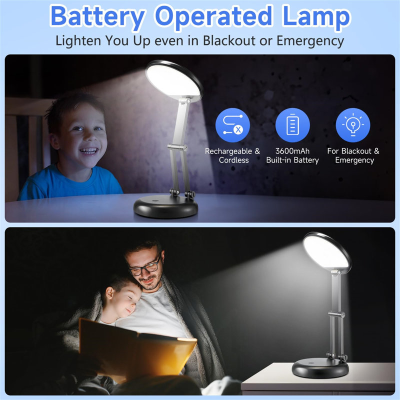 Isberga Adjustable Desk Lamp
