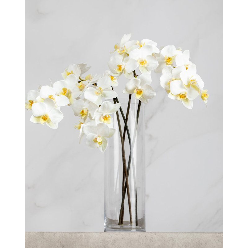 Pink Spotted Phalaenopsis Orchid 22”, White, 23" H x 3" W