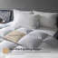  Housse de couette en duvet d'édredon en coton toutes saisons avec languettes d'angle-1177360602