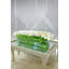 Tulip Stems in Vase-1883493160