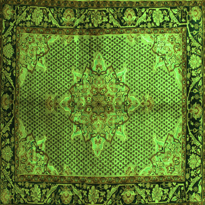 Performance Oriental Indoor Rug