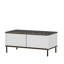 Glorias Coffee Table-106668544