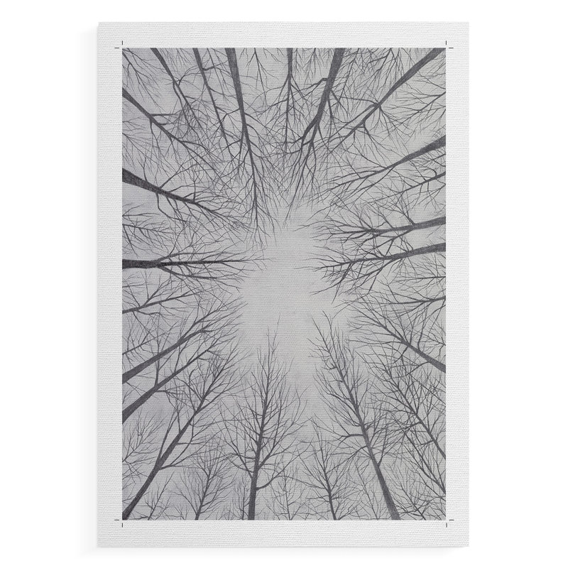 Toile à feuilles caduques II - Impression sur toile seulement - NON-CADRE, H 36 po x l 24 po