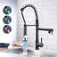 Belfry Kitchen Almena Pull Down Kitchen Faucet