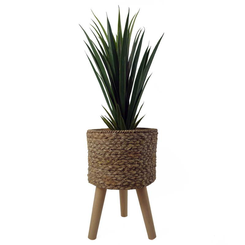 Cachepot