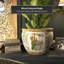 Satsuma Garden & Peacock Porcelain Fishbowl-13988888-13988890