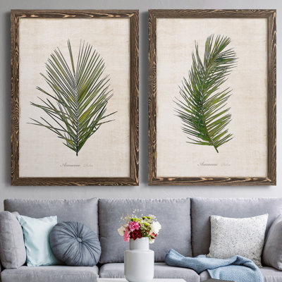 Palm Botanical I - Cadre photo, ensemble de reproductions d'art sur toiles