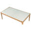 Table basse rectangulaire en verre givré avec pieds en bois naturel