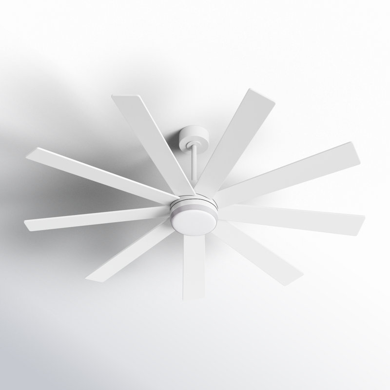 Babrak 65'' Ceiling Fan with LED Lights, White