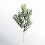 Palm Arrangement