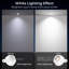 LED Mini String Light-1667393470
