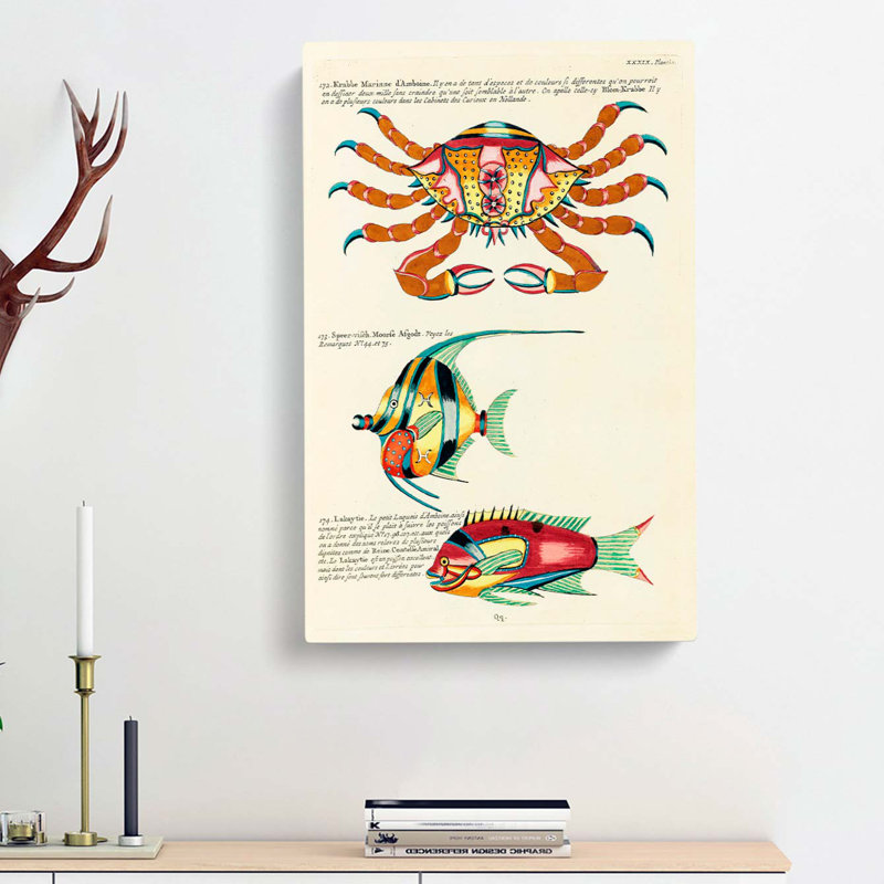 East Indies Fish & Crab Illustrations XXXIX by Torii Kiyonaga - Wrapped Canvas Painting, 60cm H x 40cm W x 3cm D