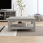 Weddel Basilico Coffee Table with Storage-2142787173