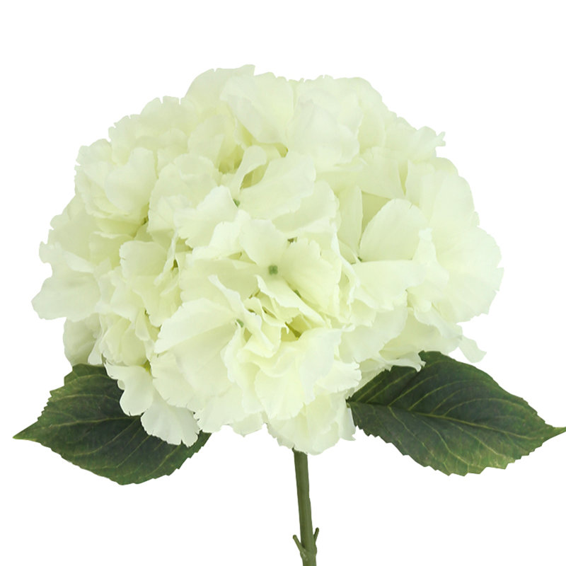 Faux tiges d'hortensia Addison, Crème, crème