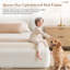 Cadre de lit double en chenille recouverte de tissu nuageux avec tête de lit enveloppante, sommier à compression, montage facile (sans sommier tapissier)-134965342-133594308