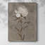 «Pretty as a Peony II», reproduction encadrée - bois massif-612551975