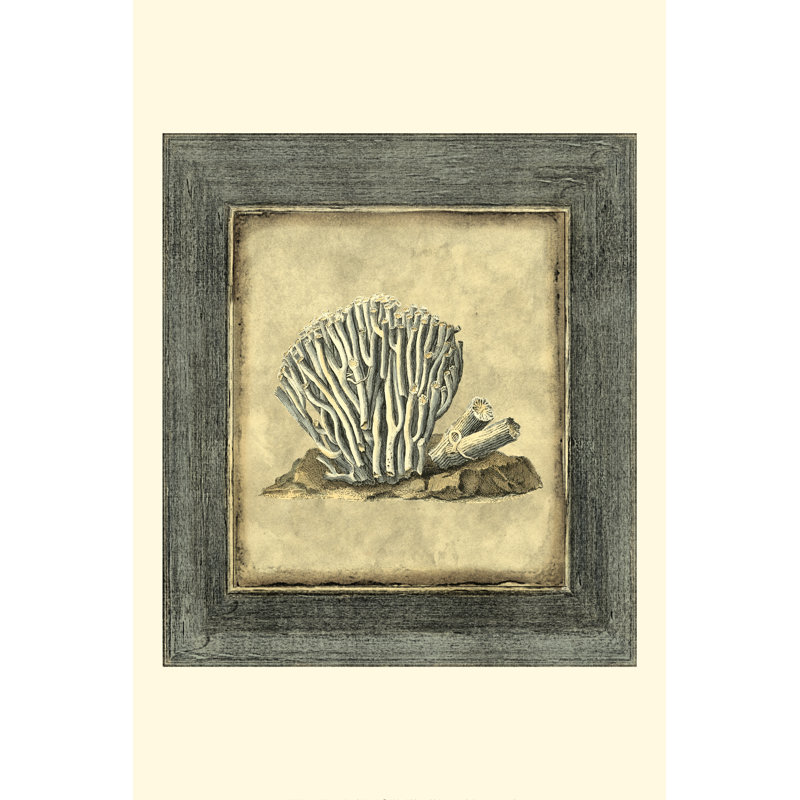 Mini Exotic Coral IX - Wrapped Canvas Print, 91cm H x 61cm W x 3.8cm D