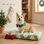 Large-Sized Dog Bed, Filled with Thick Shredded Chopped Foam, Designed as Indoor Pet Bed Gift, Includes Removable Cover, Modern Fuzzy Plush Texture, Features Anti-Slip Bottom, Color: Green