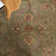 Taylor Hand Tufted Wool Oriental Rug