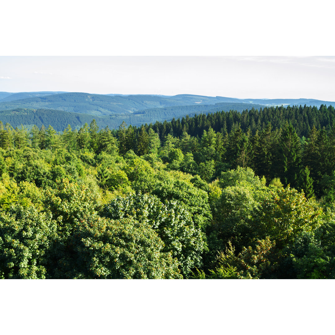 Luftaufnahme der Wälder im Sauerland by Justhavealook - Drucken