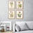 Framed Floral Canvas Wall Art