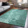 Premium Machine Washable Cerrito AMF577 Teal Rug