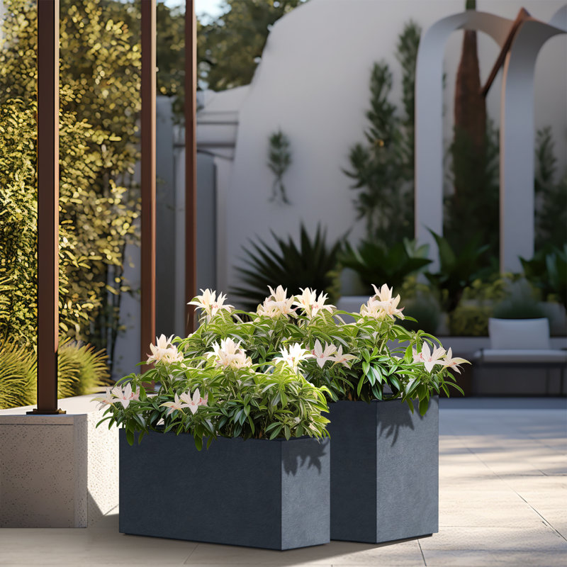 Ensemble de boîtes à fleurs en béton 2 pièces Kemya, Gris granite