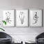 " Inky Botanical I " 3 - Pieces-817928885-818675224