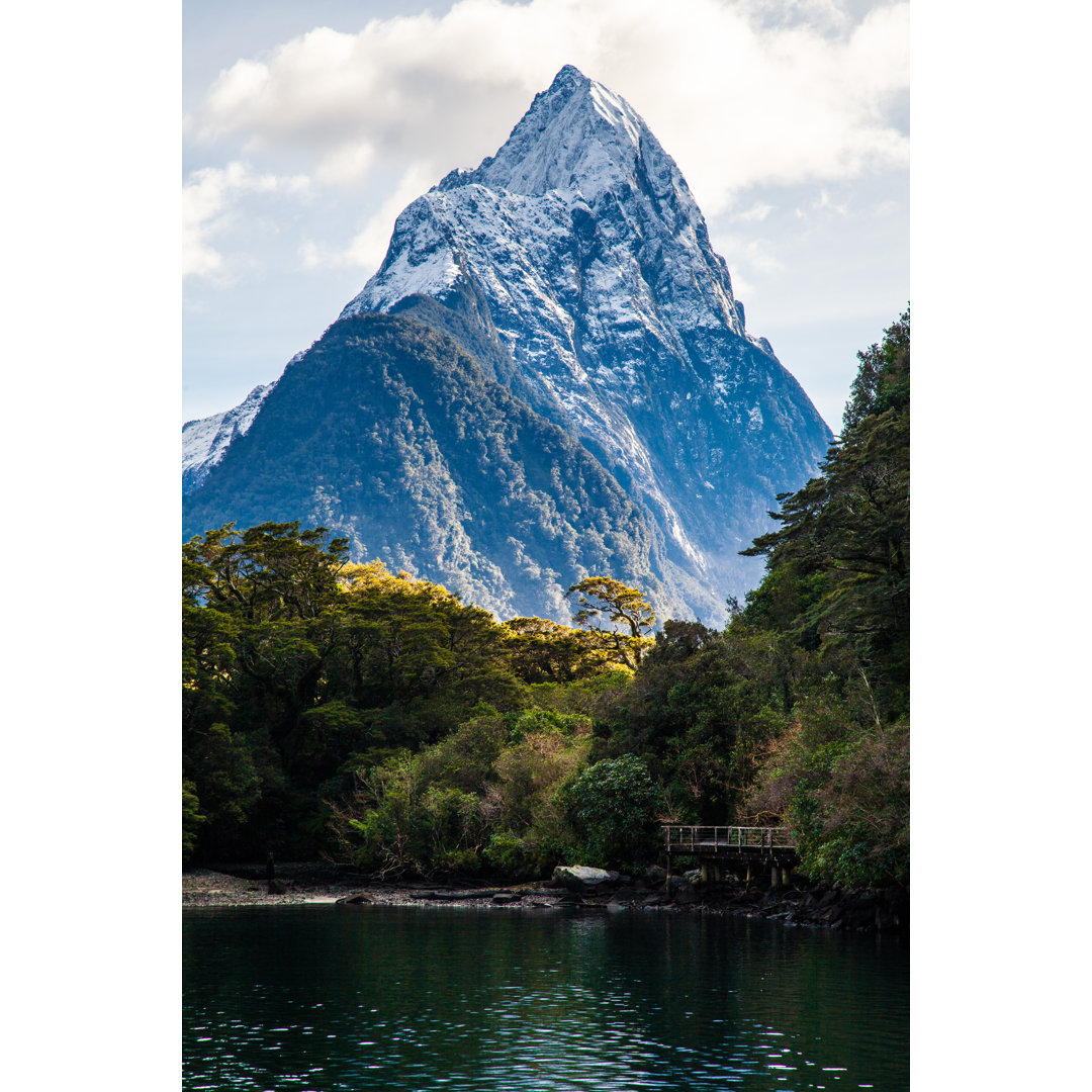 Fiordland Notional Park von Chemc - Kunstdrucke